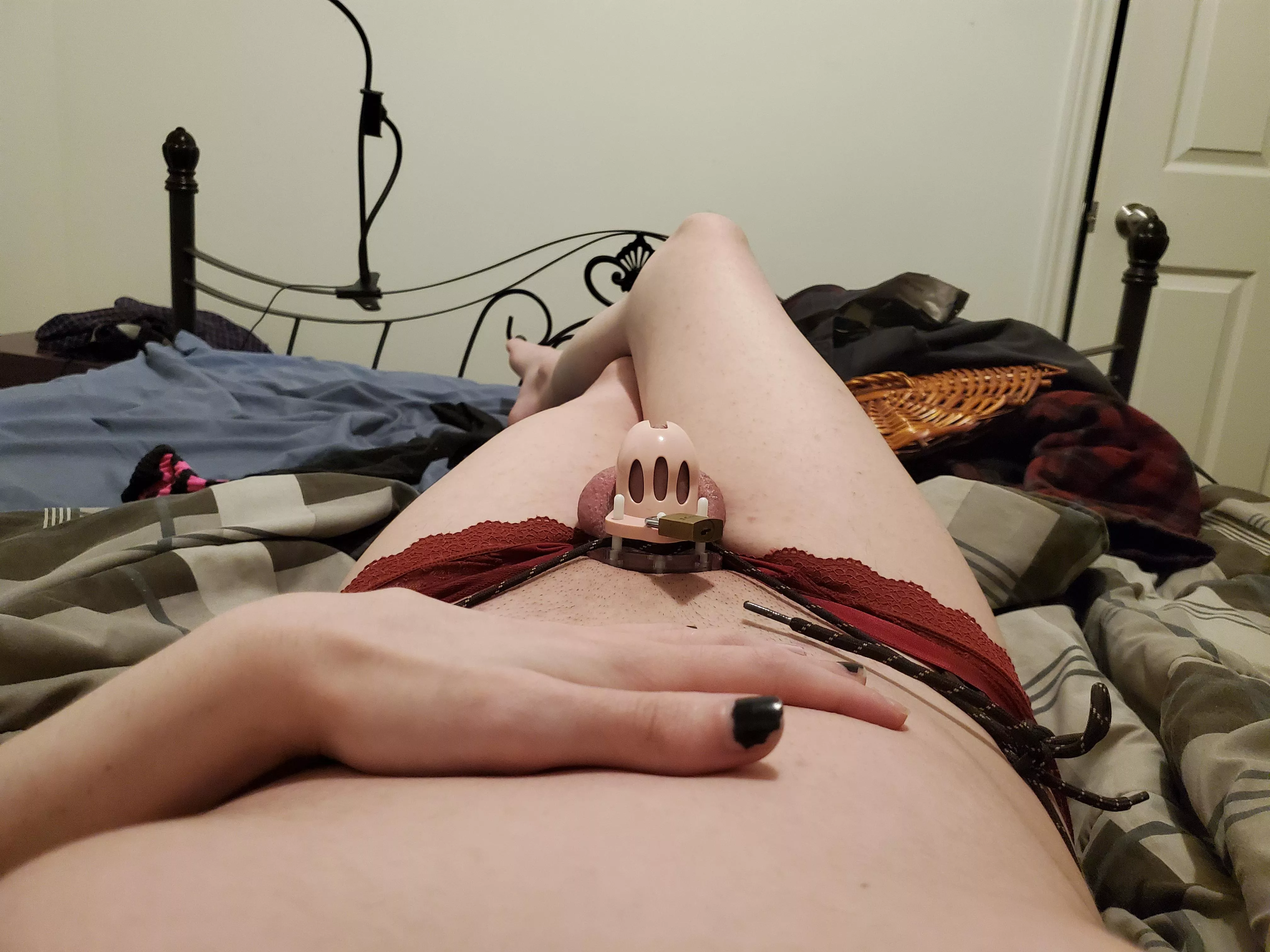 Just got my smaller cage and to be honest i'm already thinking of downsizing it even more! posted by _CumInMePlz_