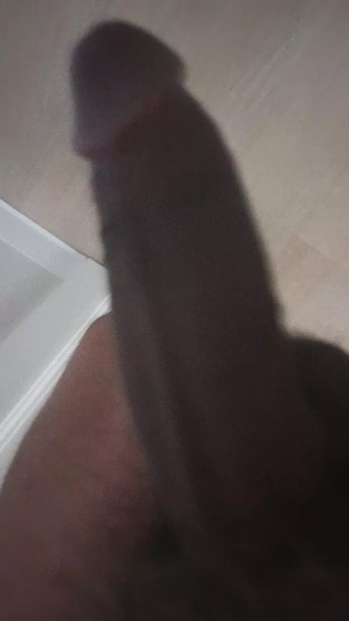 just got out of the shower and I'm looking at you with my cock out [OC] posted by DarkKingDragoon