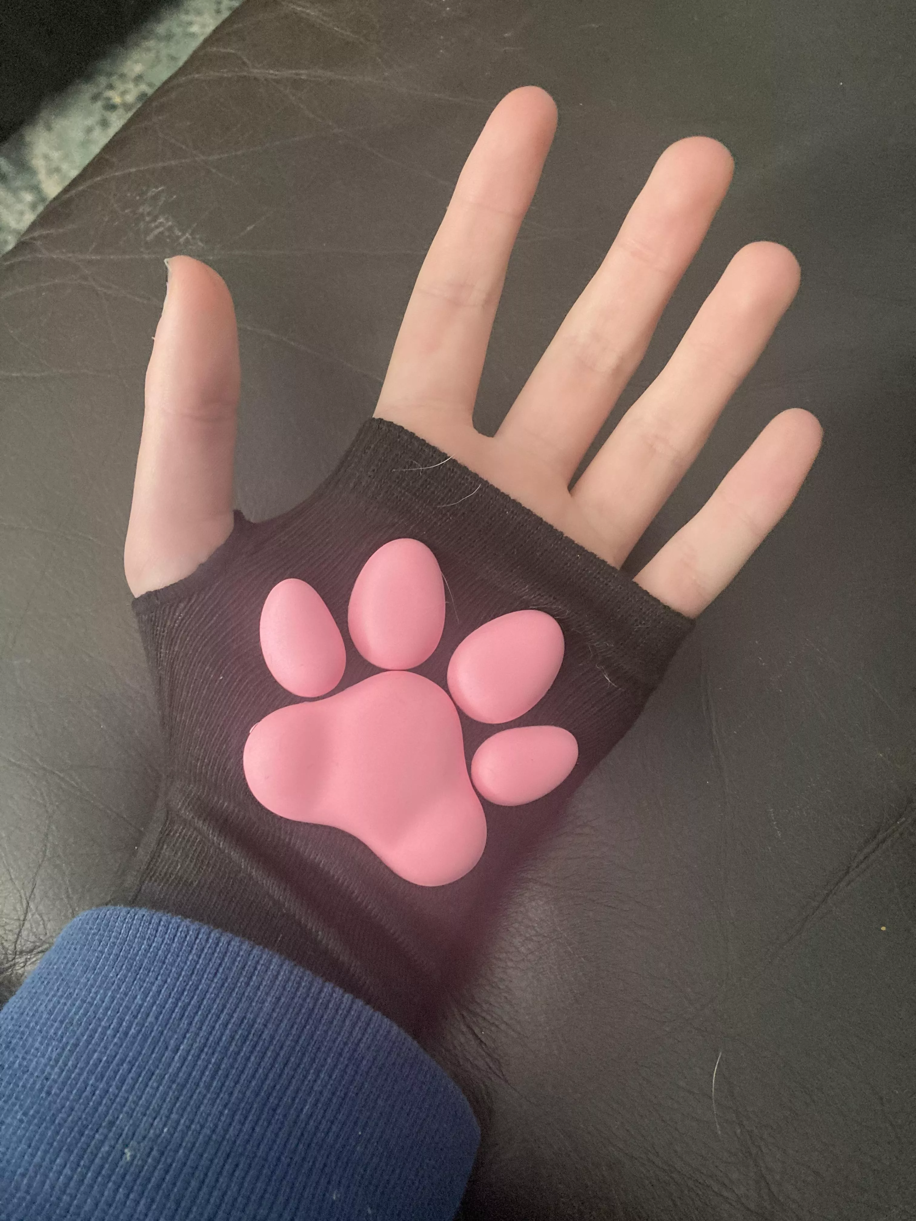 just got these cool paw gloves and im loving them posted by platypus_pasta