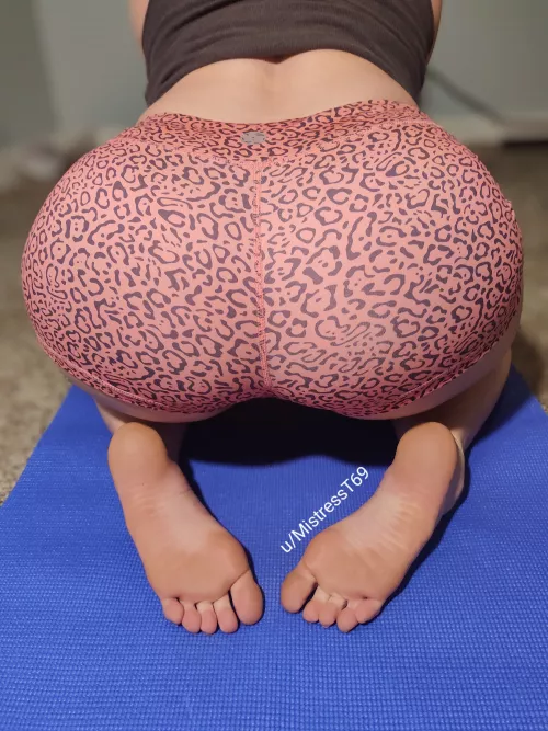 Just got verified <3 I'm excited to get to know you guys! by MistressT69