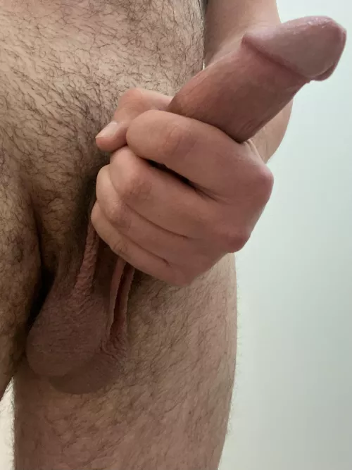 Just hanging around by mrdobbs00