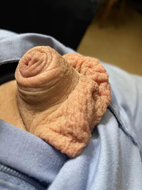 Just hanging out (40) by Friendly-Jacket-1793