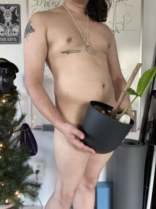 Just hanging out with my Bird of Paradise :) my boss gave it to me and it’s growing pretty well! by Lil-creature