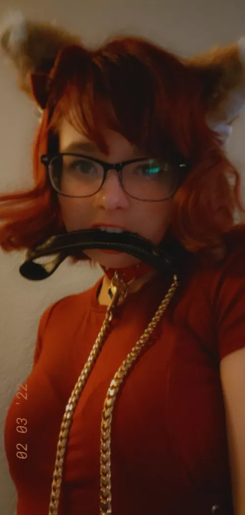 Just new to the group and new to being a pet. Was feeling like a you'd girl and wanted to say hi by Lillyvbug2022