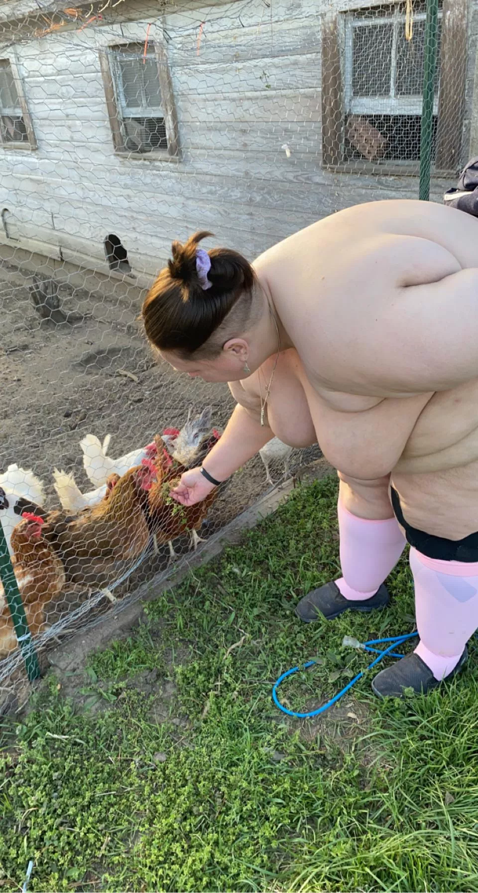 Just out feeding the chickens! posted by MrsHurqazoid