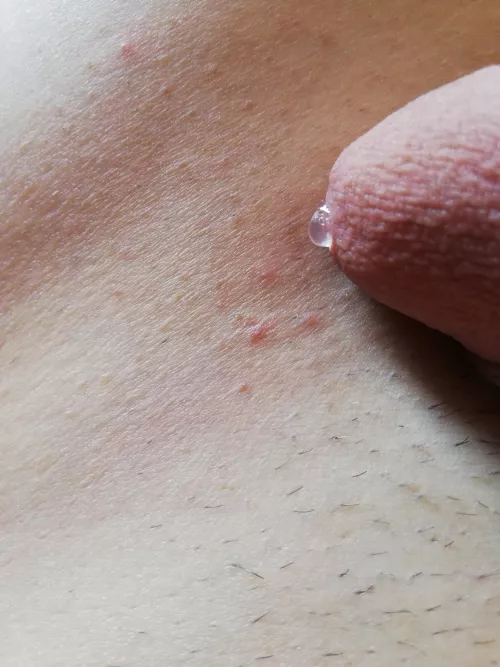 Just starting by avergeslimfitguy