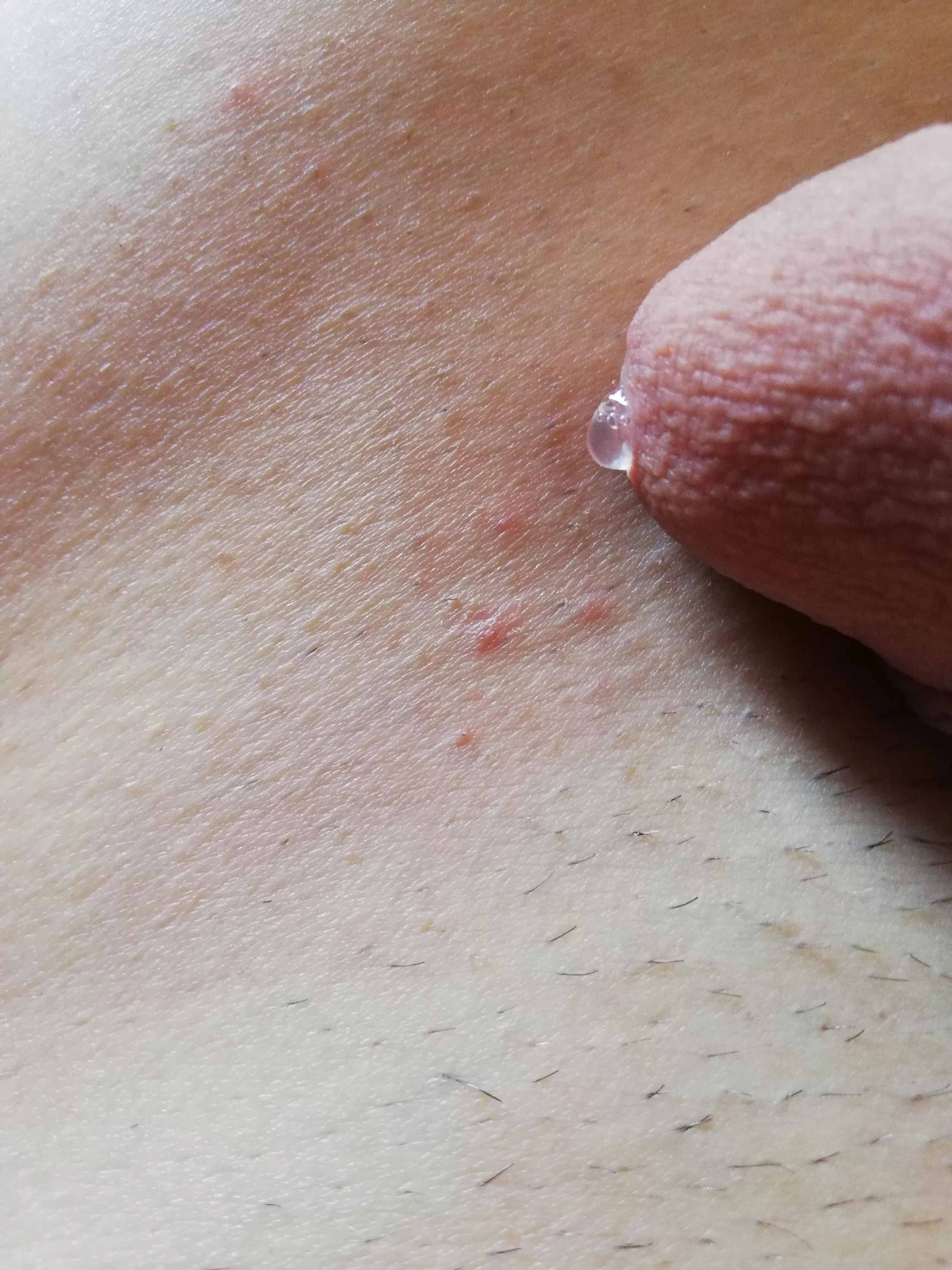 Just starting posted by avergeslimfitguy