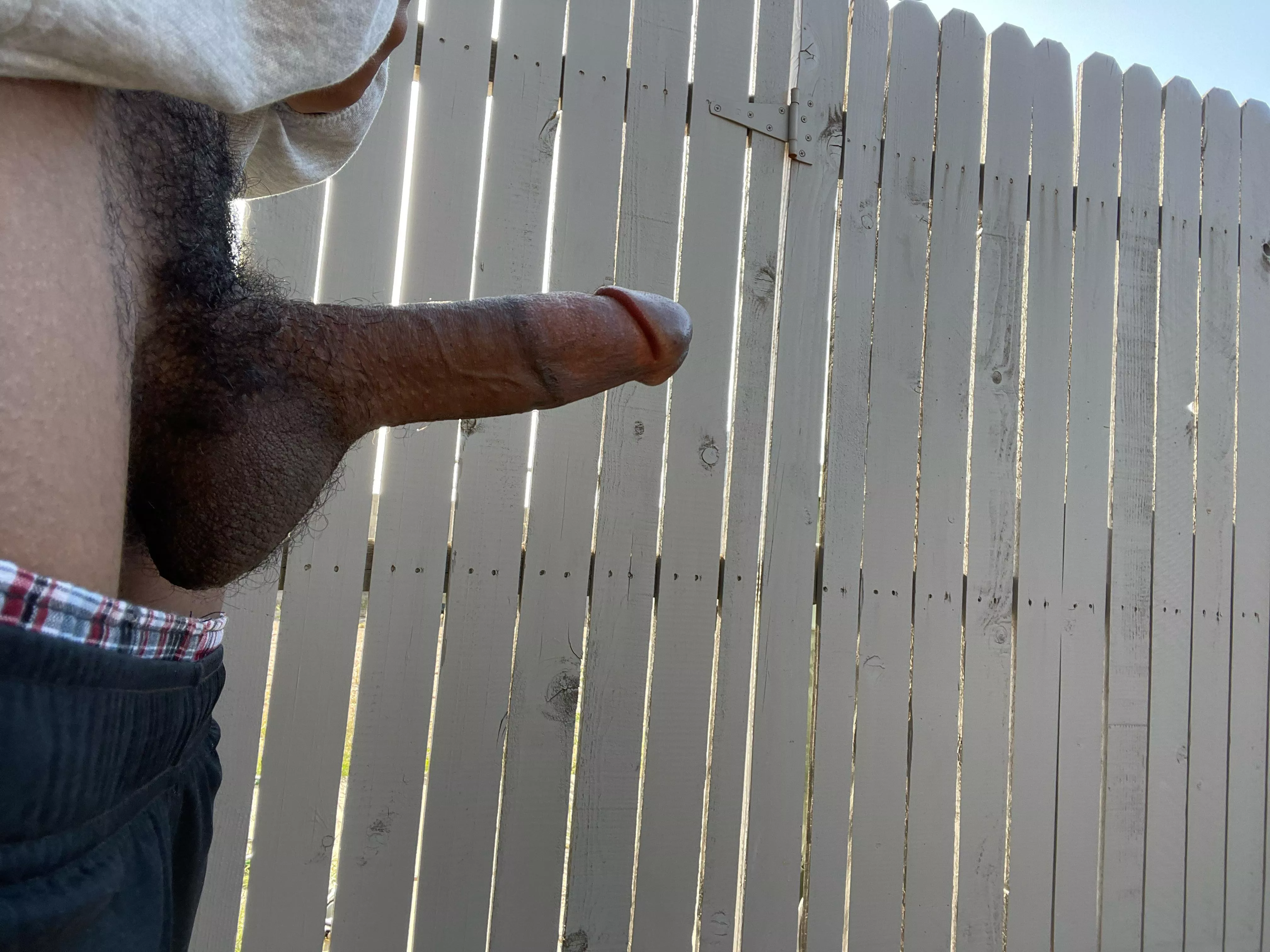 just taking out the trash posted by Rocco1406