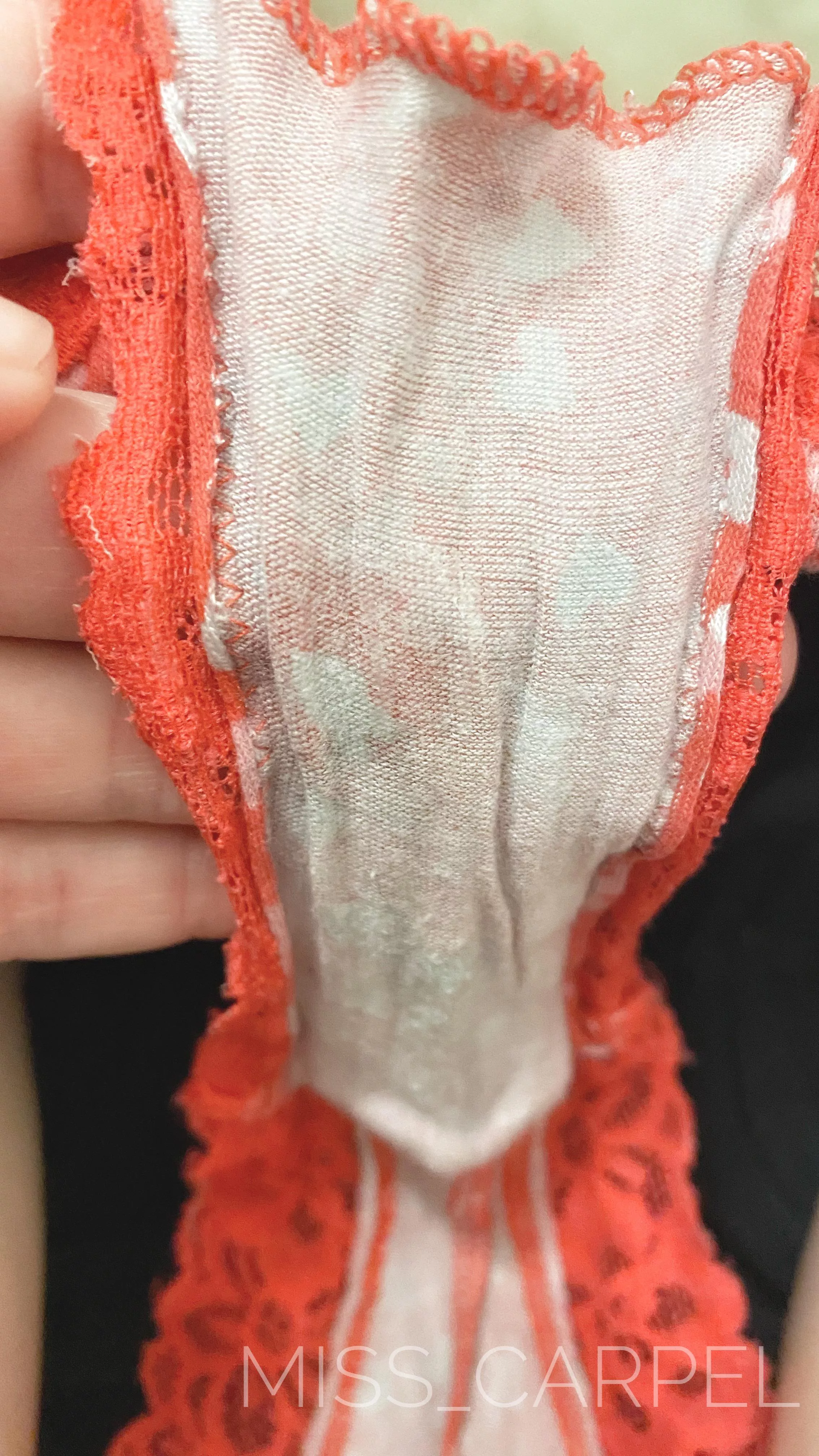 Just the beginning posted by Miss_Carpel