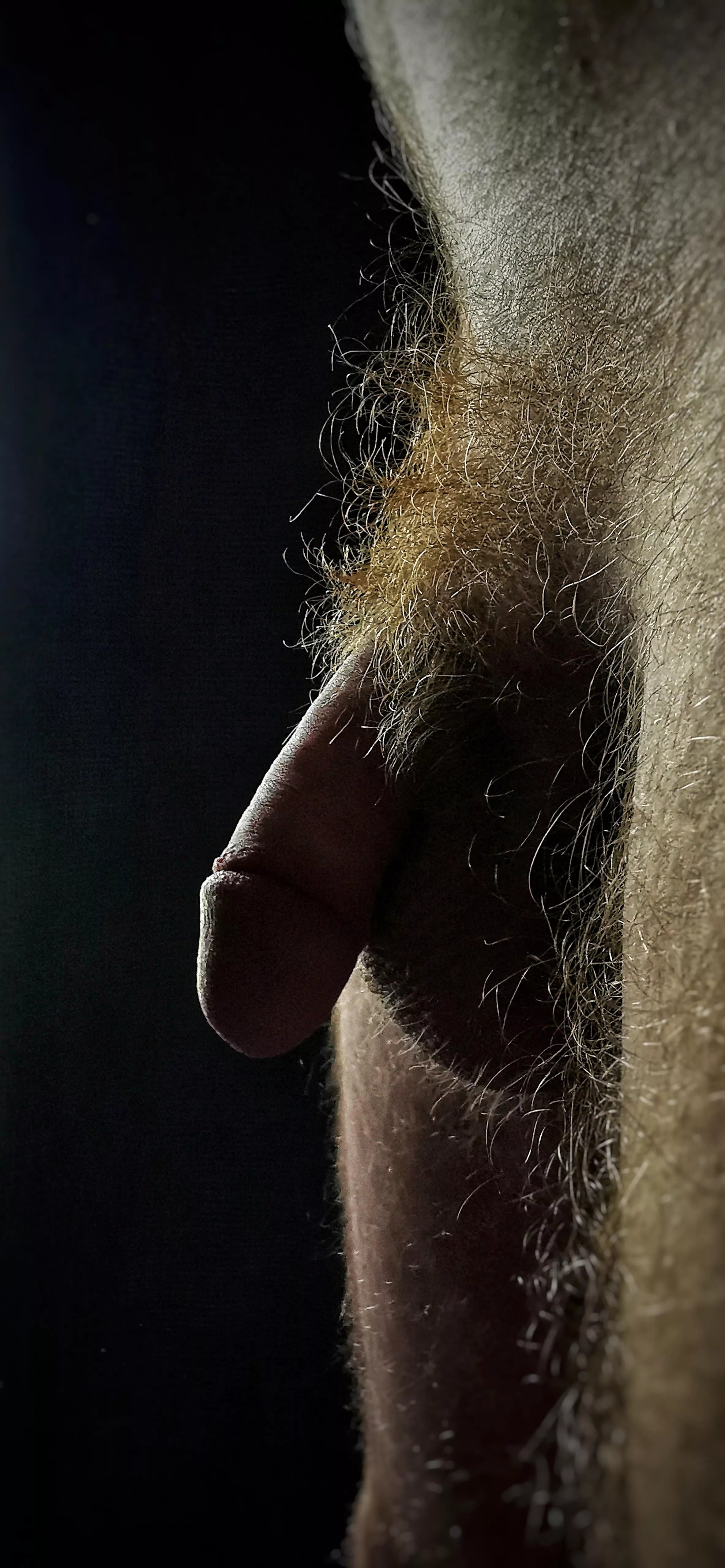 just the morning light 🌄 posted by irl-guy