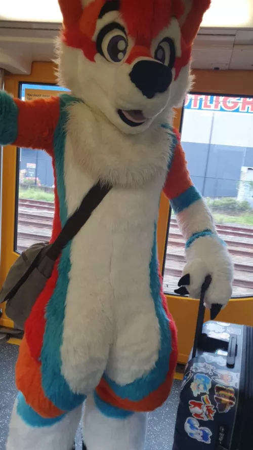 Just the usual commute u/furrycoatrack by CruiseTheDingo