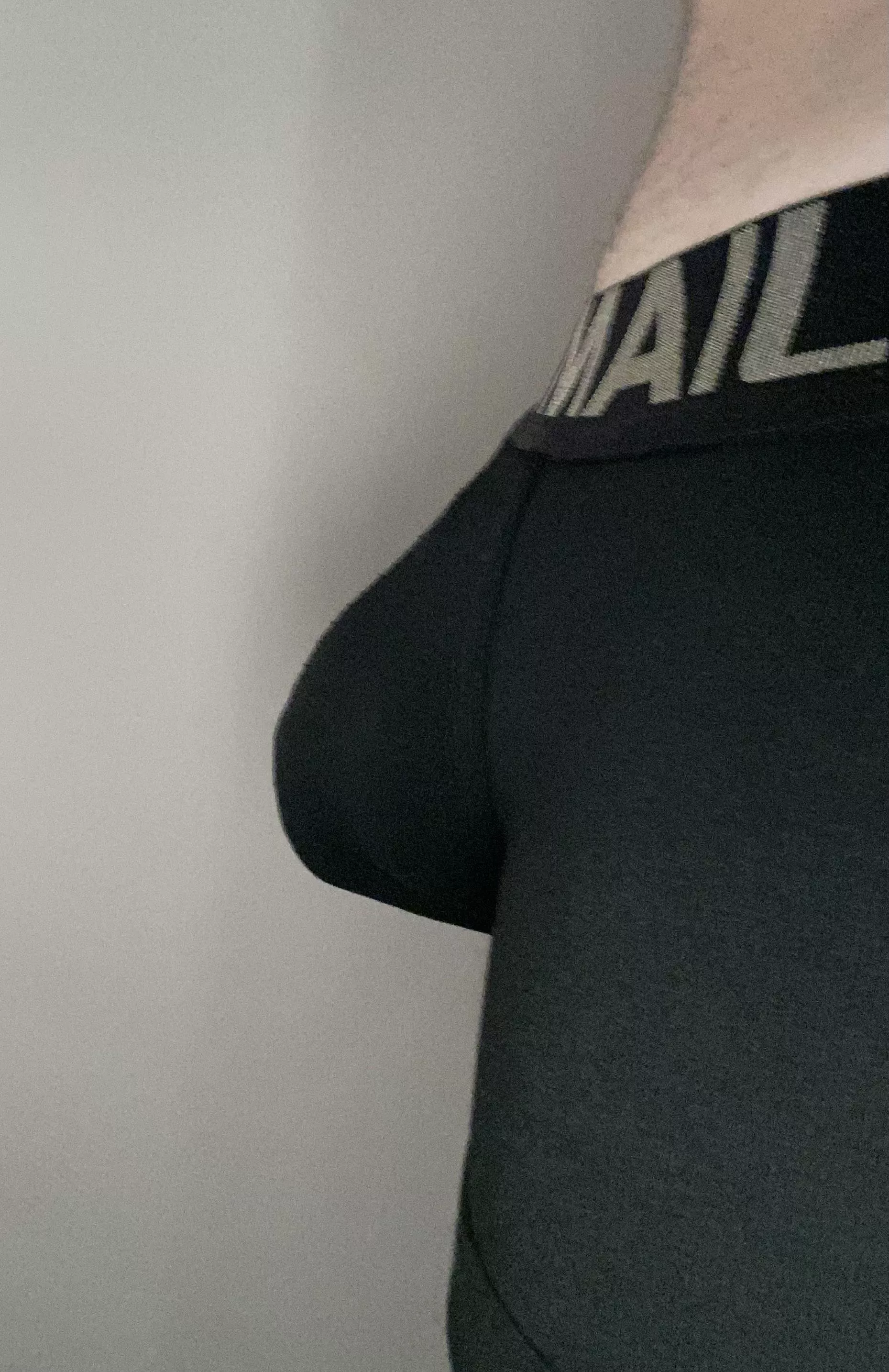 Just thought I’d share my bulge. Hopefully you like it. posted by Thatwestieguy