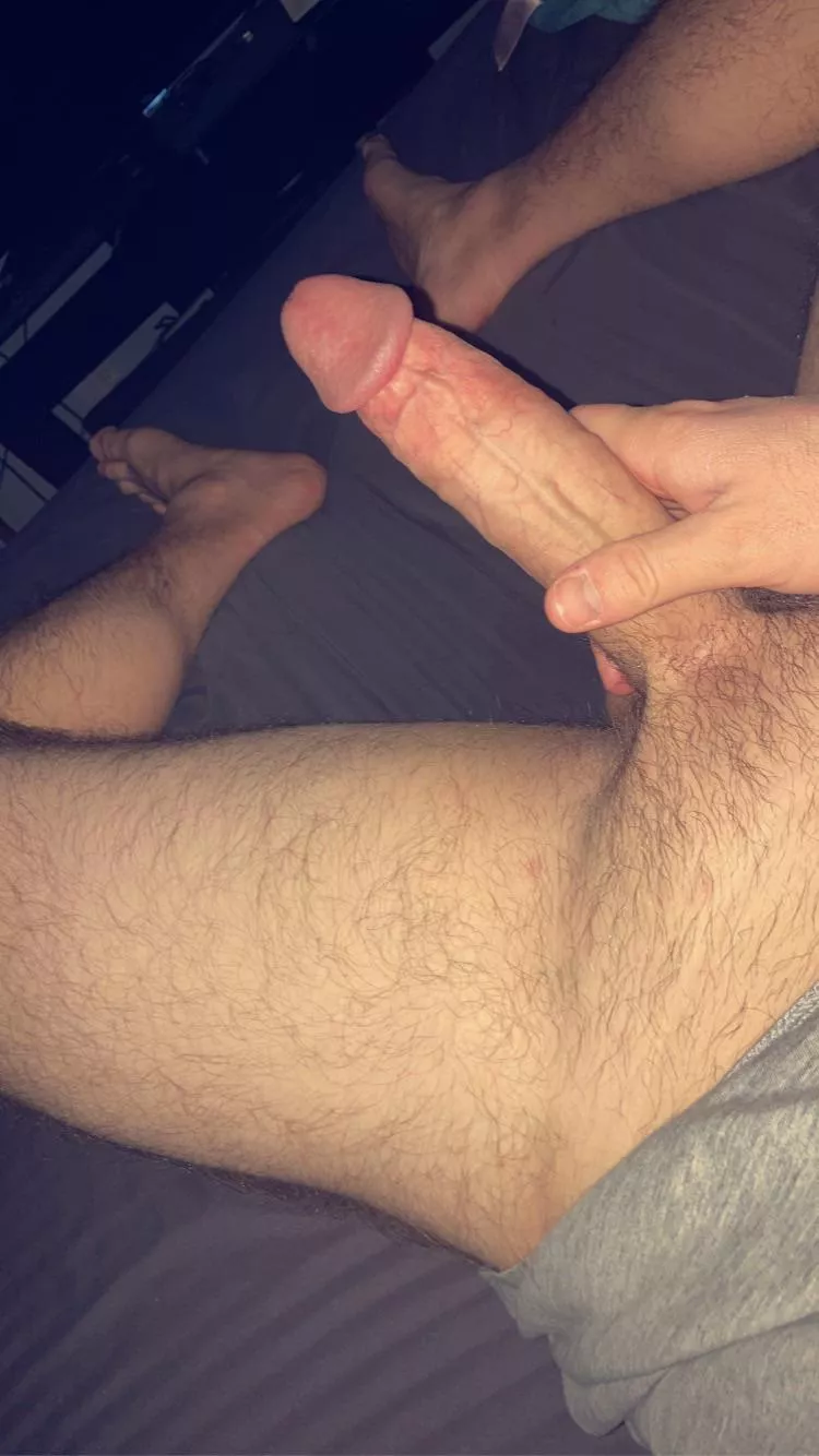 Just trying to fall asleep posted by Groundbreaking_Dog_1