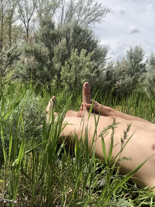 Just waiting for a lucky hiker by Beginning_Bass5532