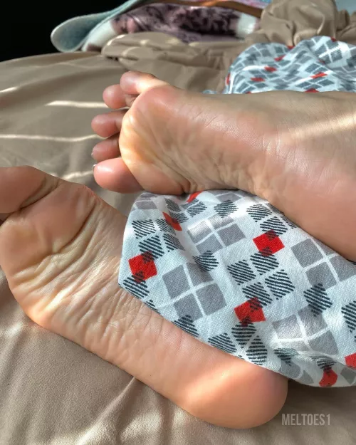 Just woke up and my soles are feeling so soft and shiny 🥰, Would you like to touch them? by Meltoes1