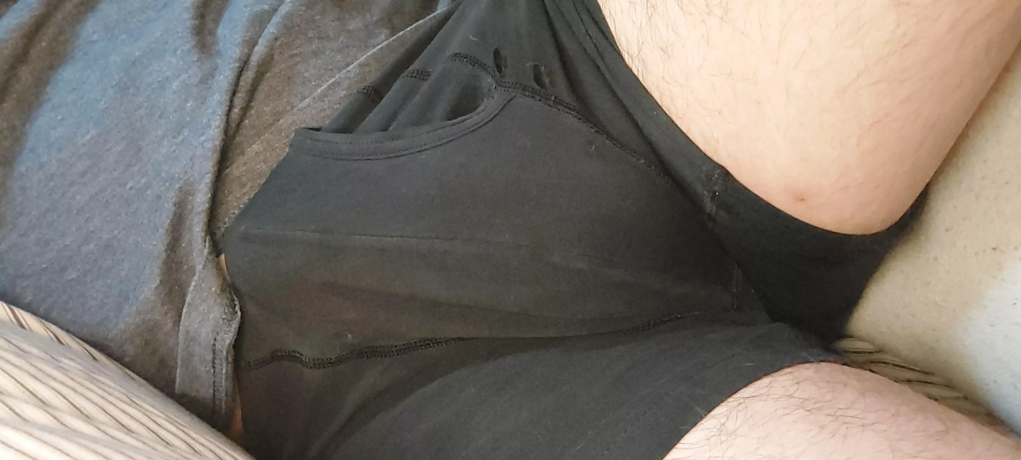 Just woke up like this. posted by PerplexedPup