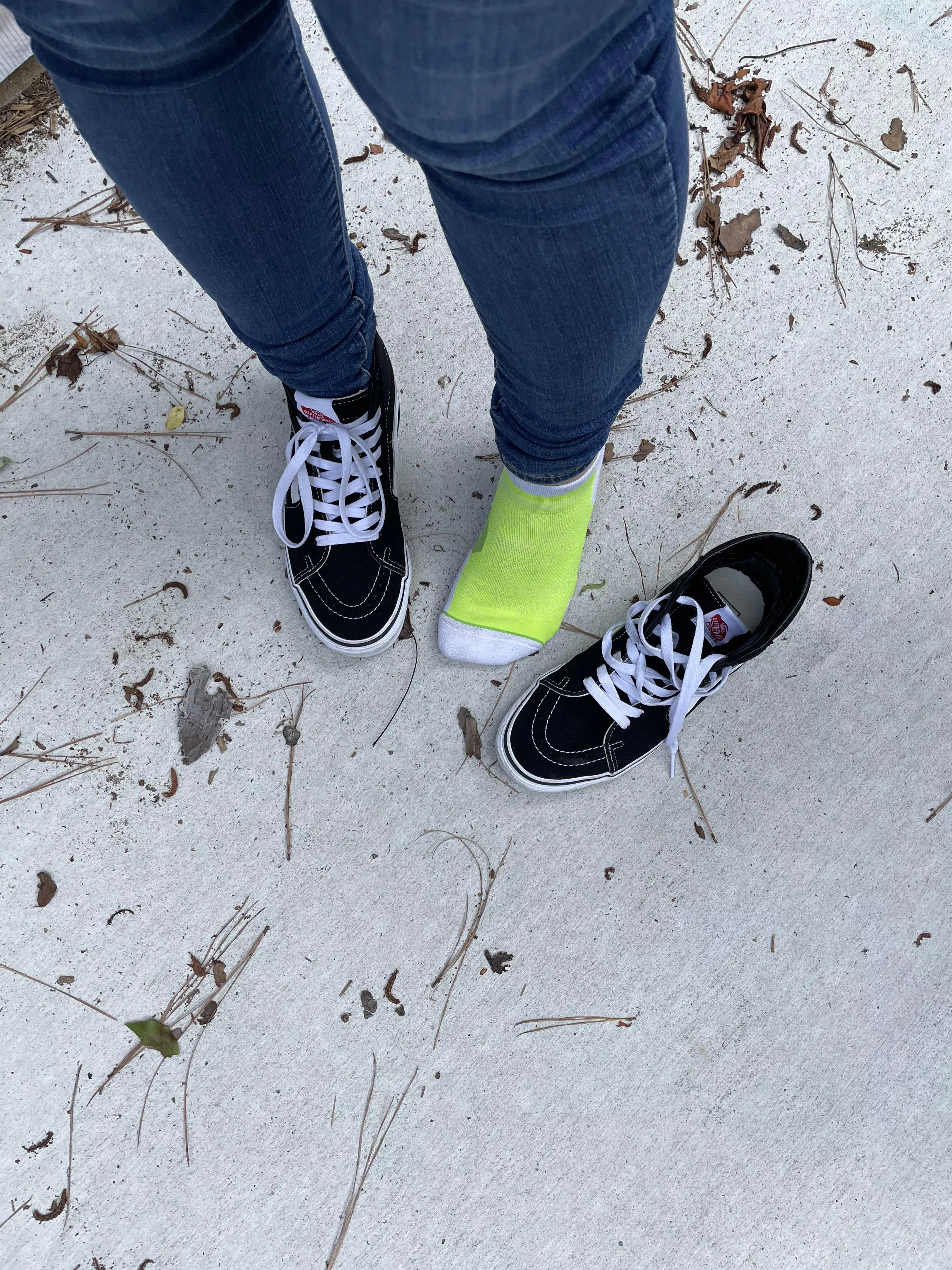 Keeping these fresh for someone special ;) posted by JennysPerfectPaws