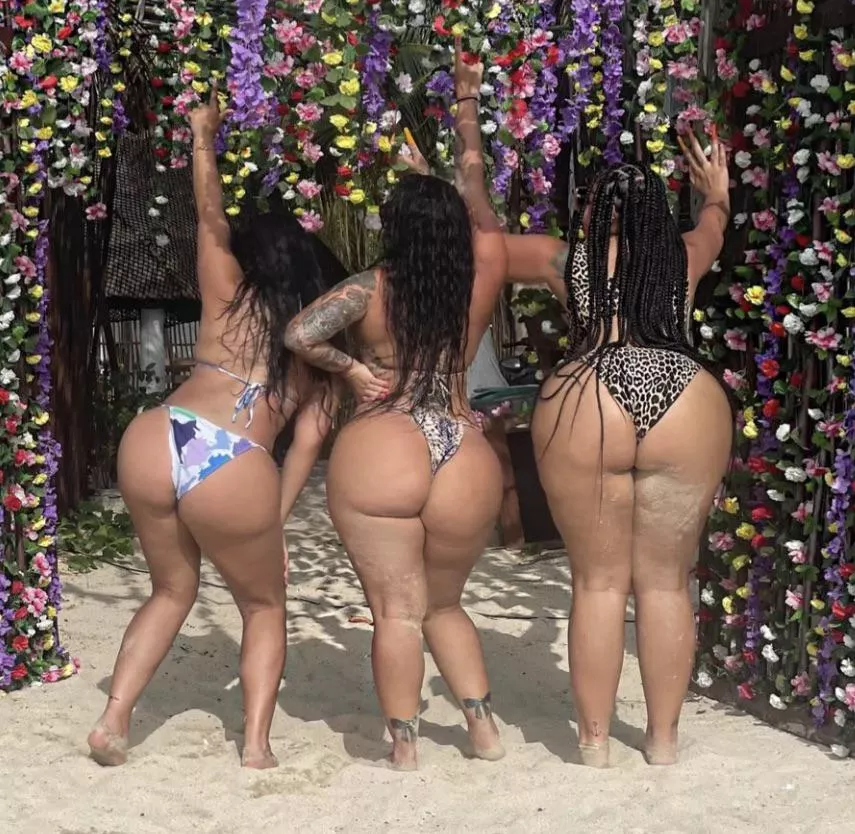 KFM posted by Theturtlehermit2000