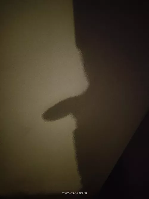 Kinky guy looking for same minded girls by sc_just4funhere21