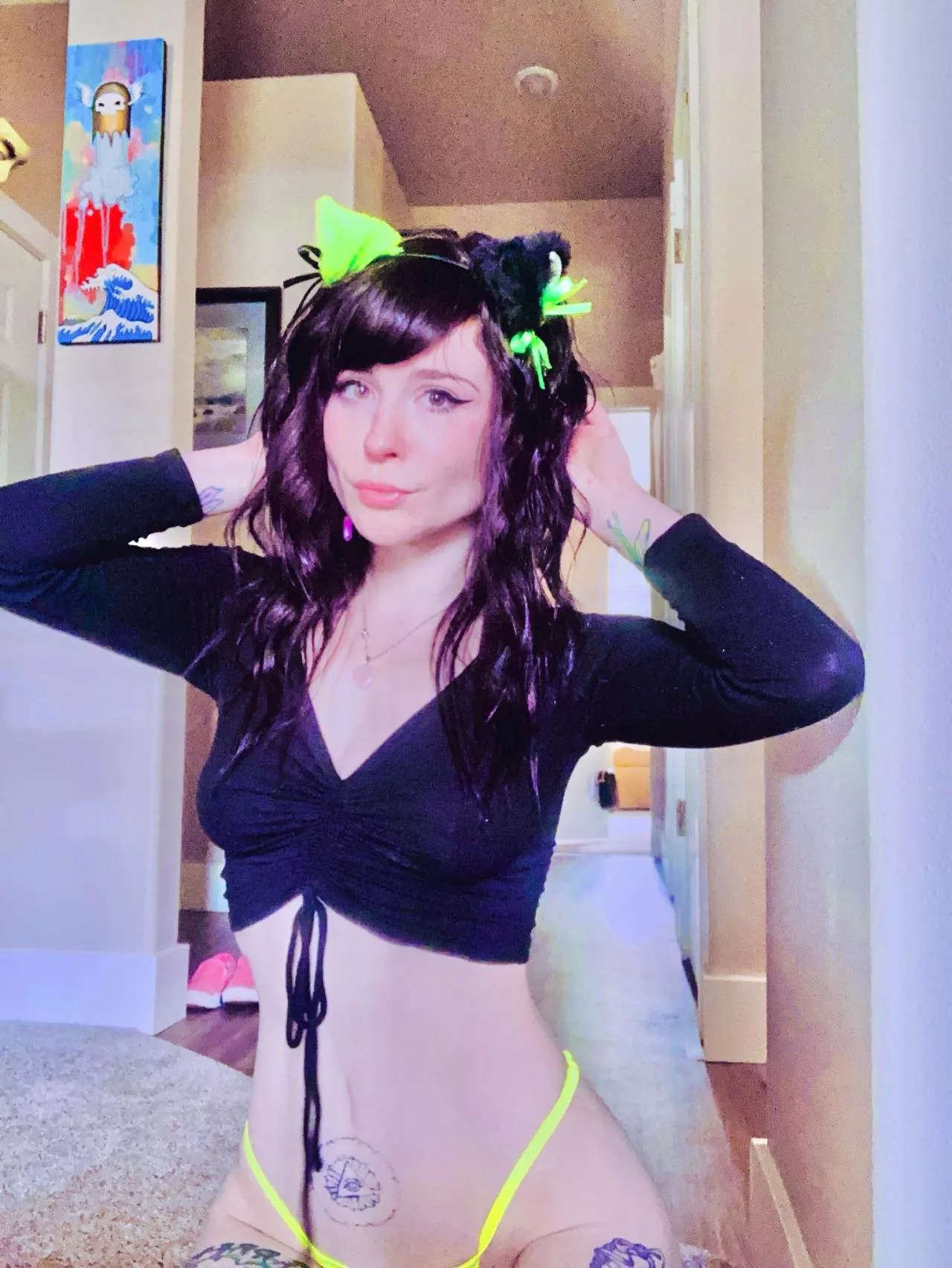 Kitten💘💘💘 posted by assandavocados