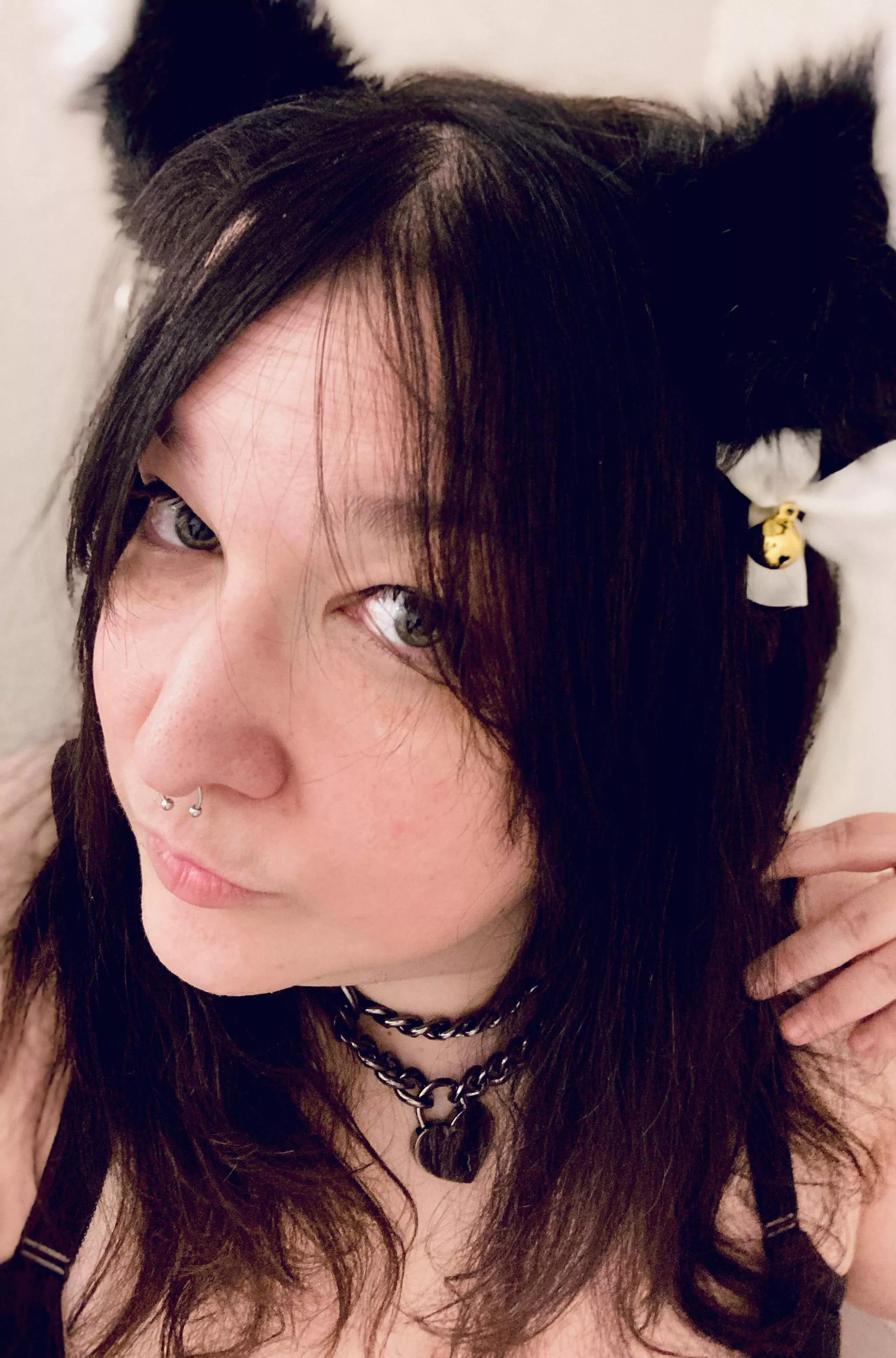 Kittens getting her paws wet, would you wanna see more? posted by fierceneko