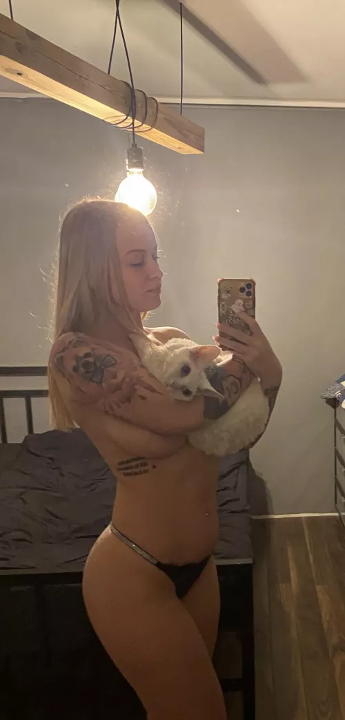 kitties by eveline_pe