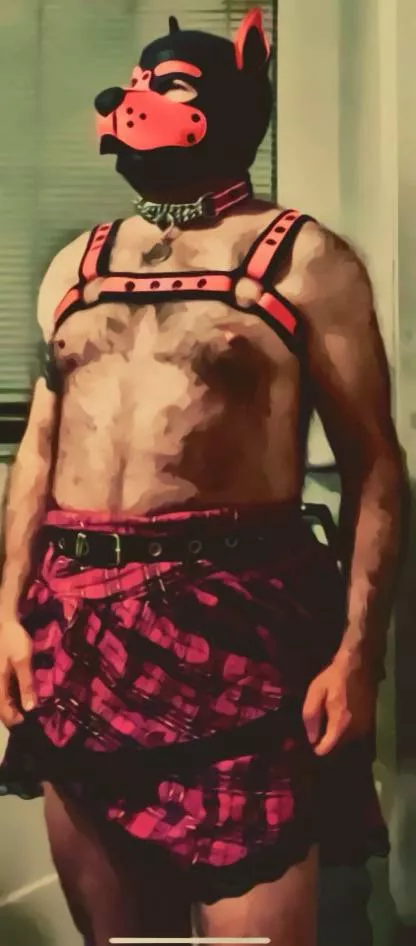 La vida loca posted by Sad_Parsnip_3842