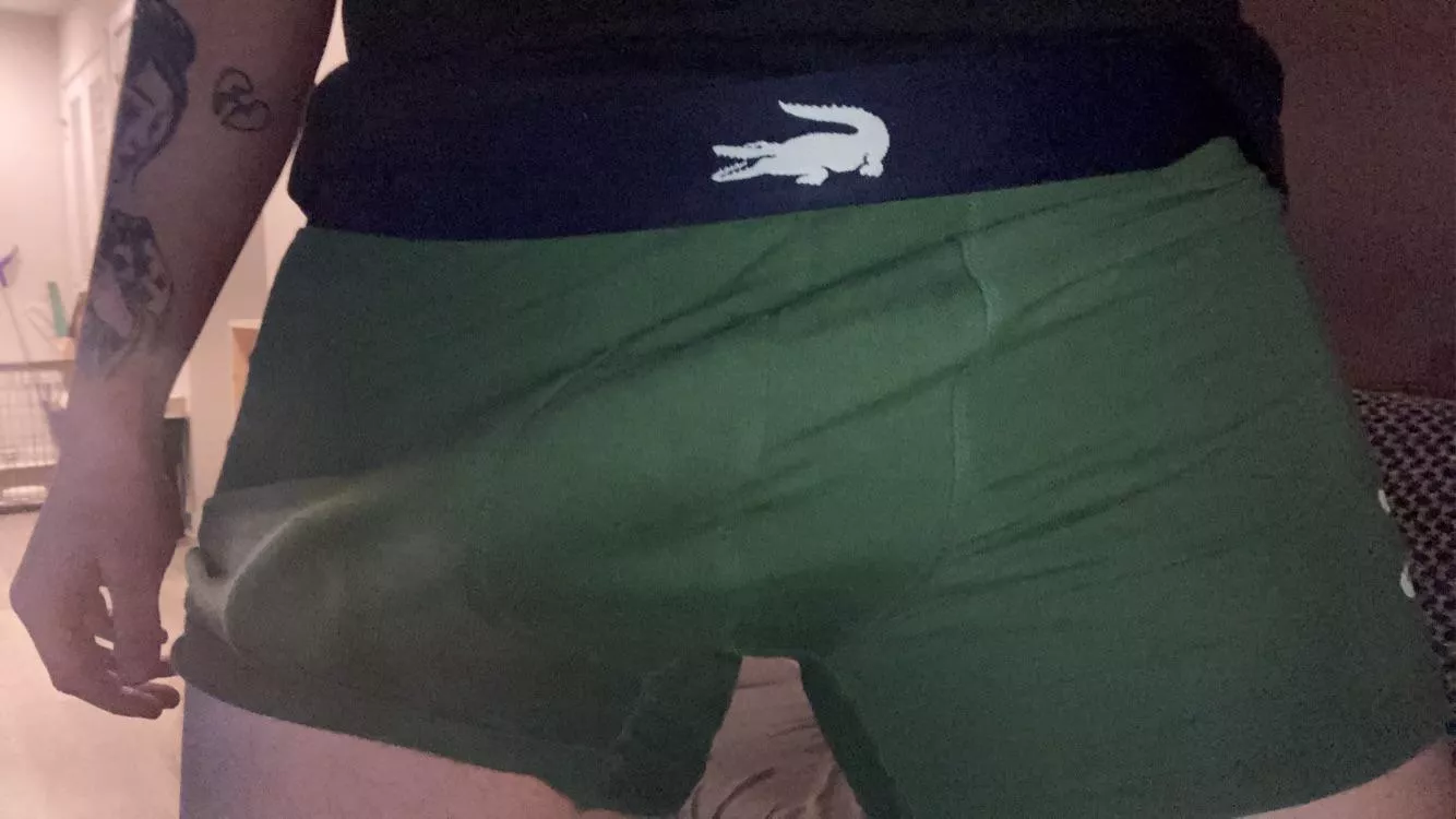 Lacoste bulge today posted by Livid_Yogurtcloset57