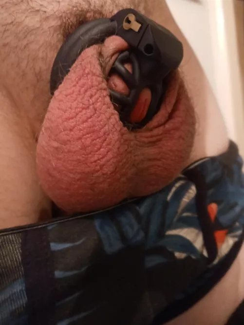 Last pic before work. I love how no one at work knows I wear plugs and cages all the time🤣 by liadon_88