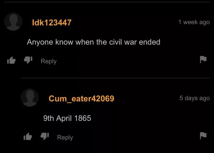 Late night history assignments by Recent_Editor_3316