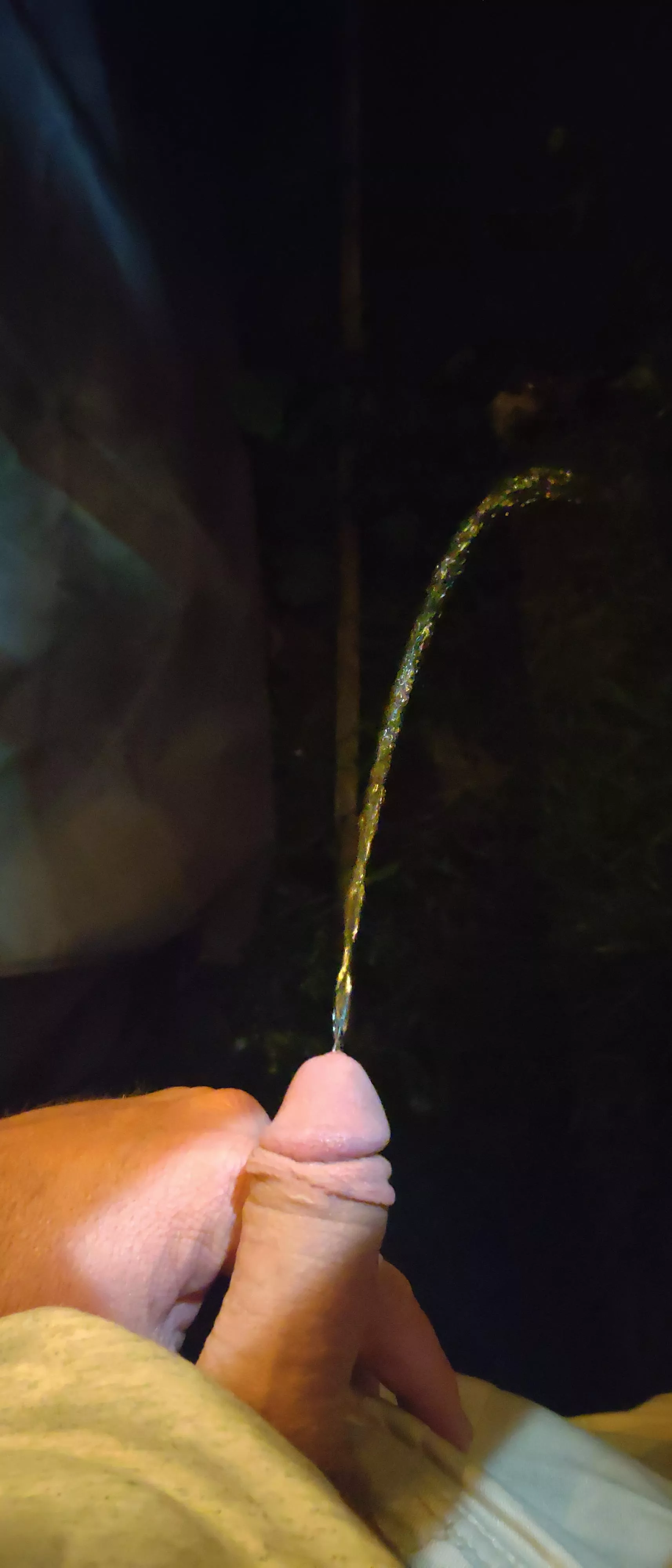 late night, outside. posted by HonestySubisland365