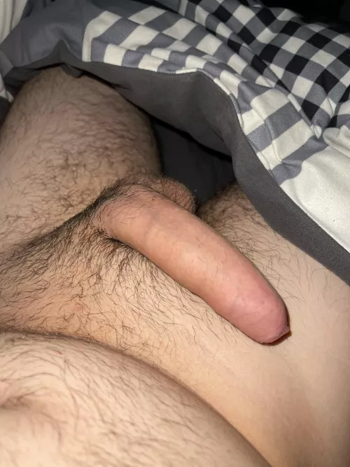 Late night softie by wellwellok