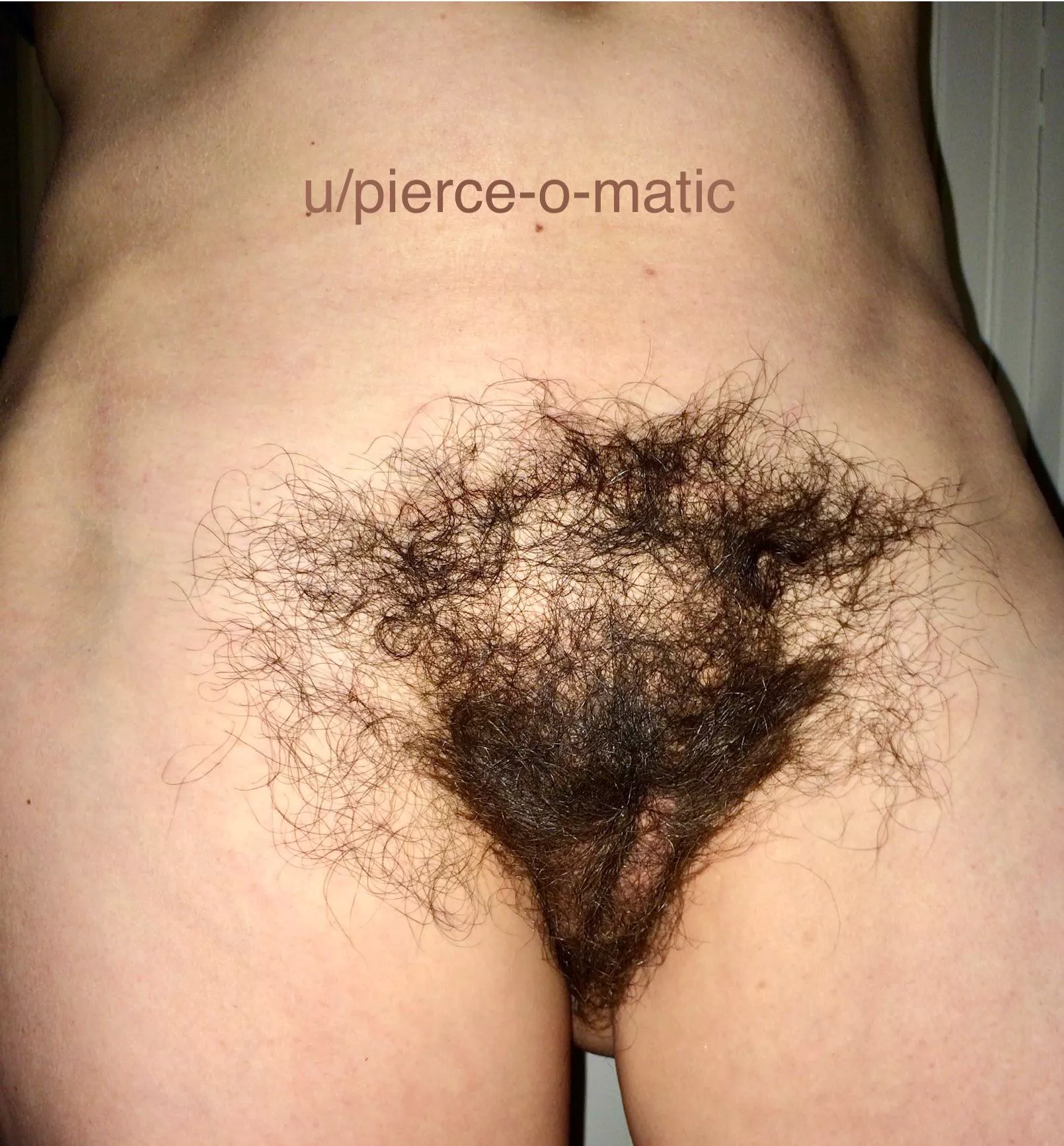 Latina rug posted by pierce-o-matic