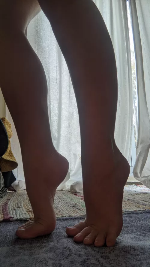 lay down for me by keystonespeciesBee