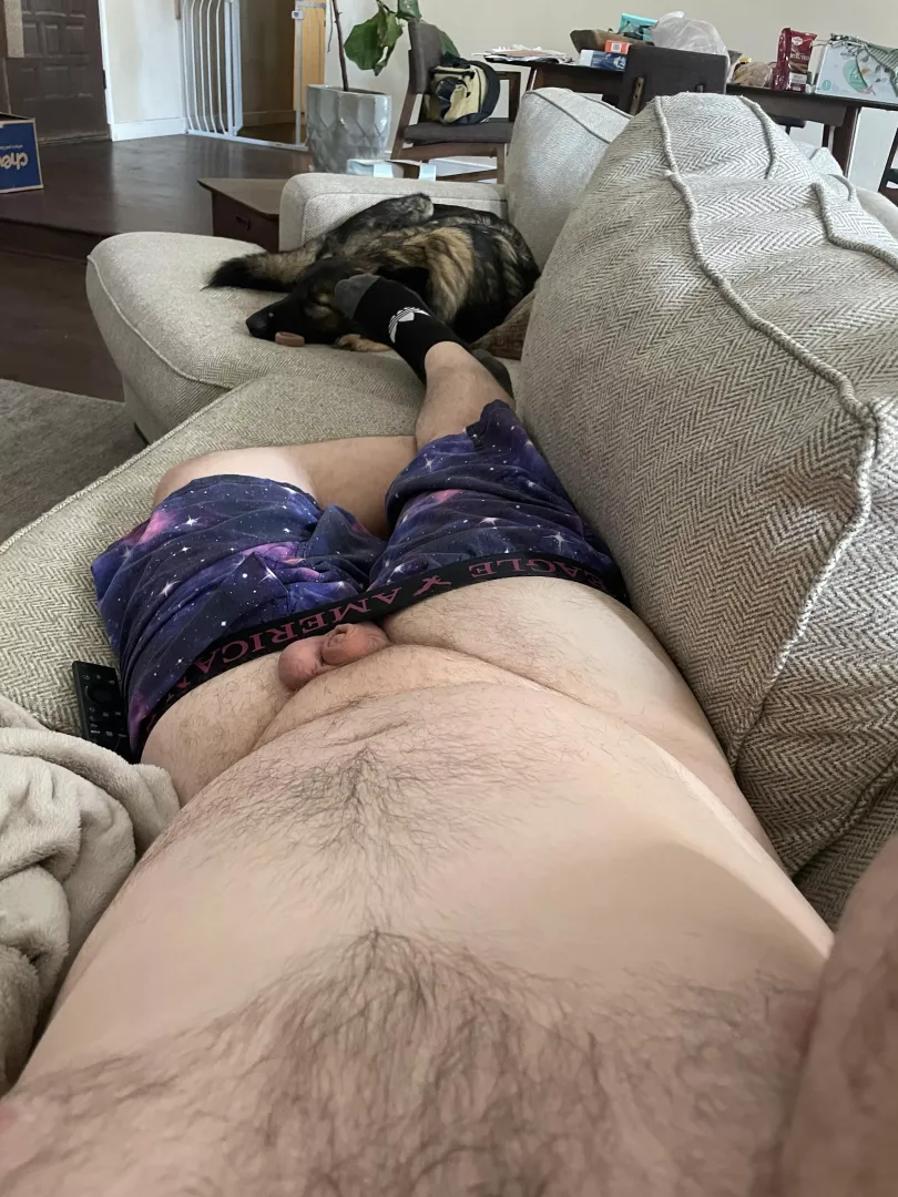 Lazy couch day. posted by CosmicBeardBro
