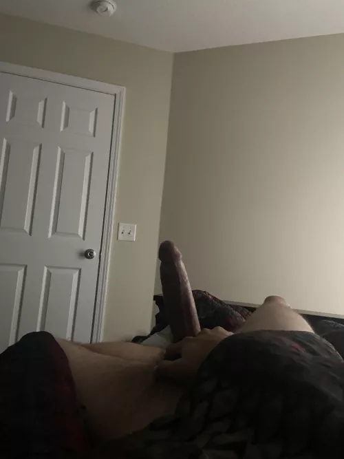 Lazy Saturday Vibes by Jorge_Homes