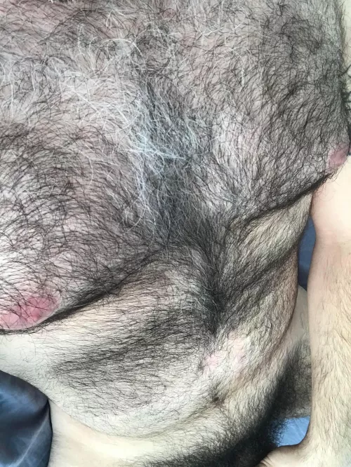 Lazy Sunday by sendfleurs11