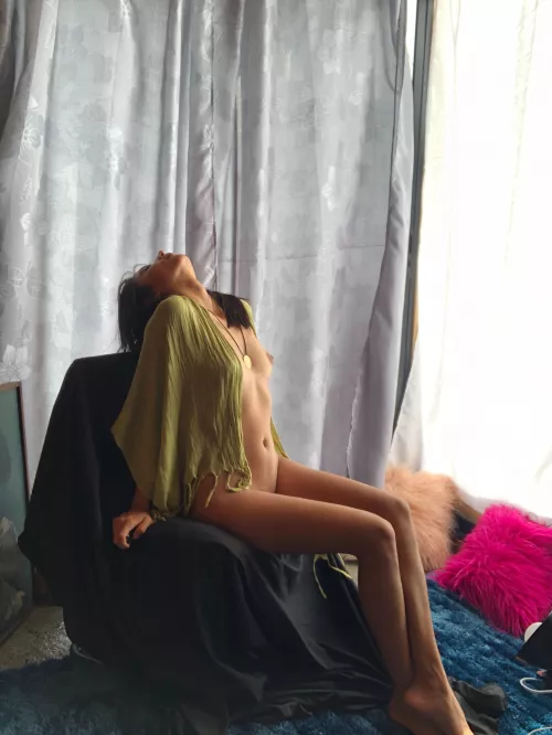 Lazy Sunday by Alicebluwu