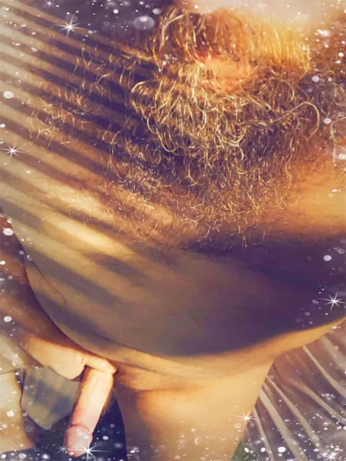 Lazy Sunday by curiousbear187