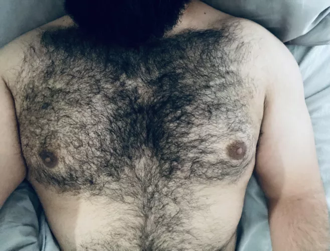 Lazy Sunday Morning by hirsutebear