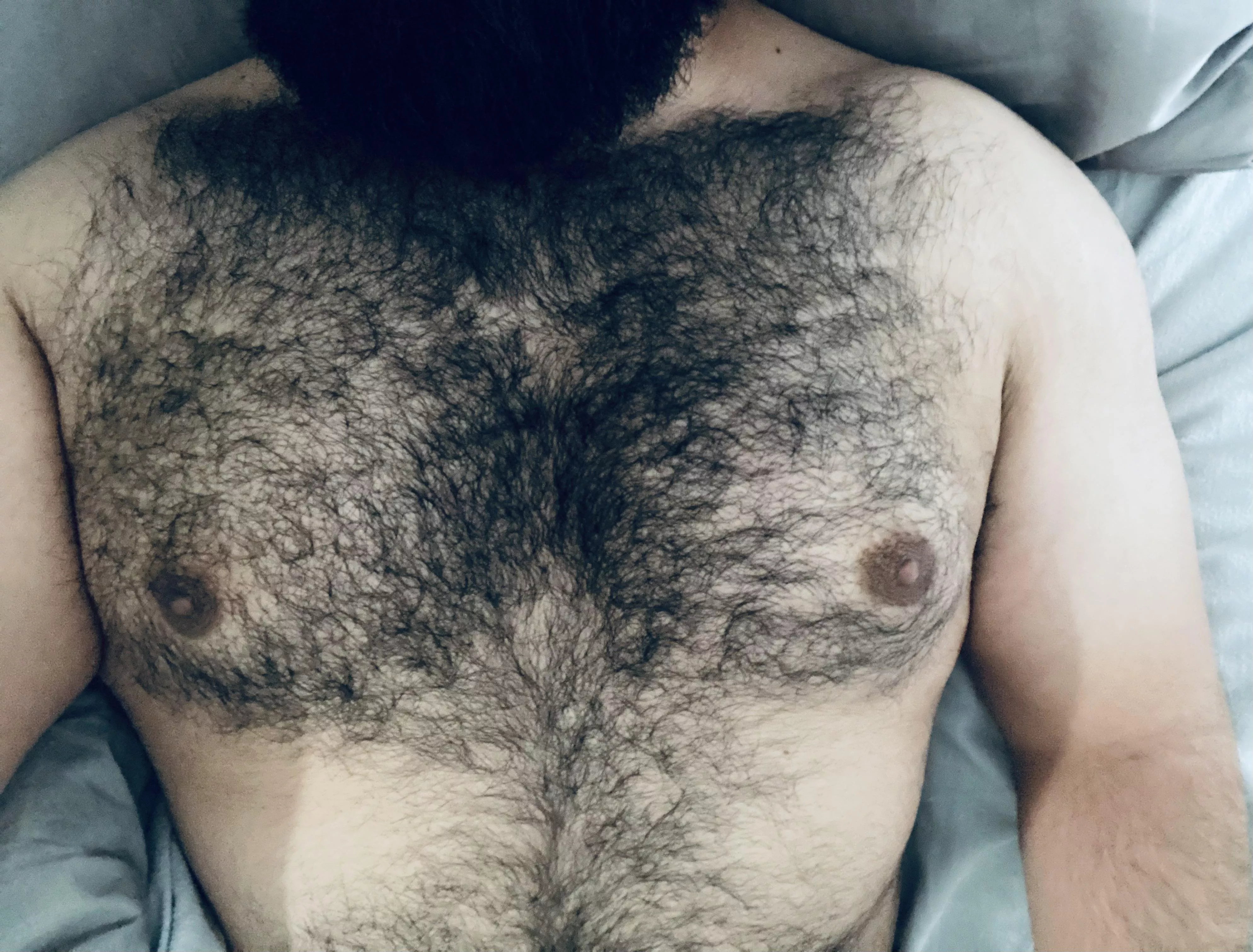 Lazy Sunday Morning posted by hirsutebear