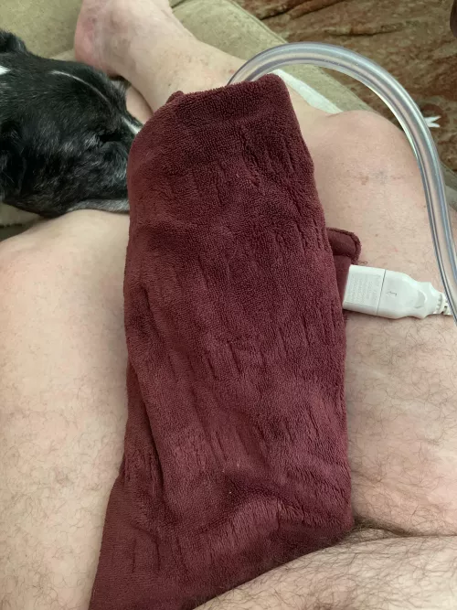 Lazy Sunday by pberry29