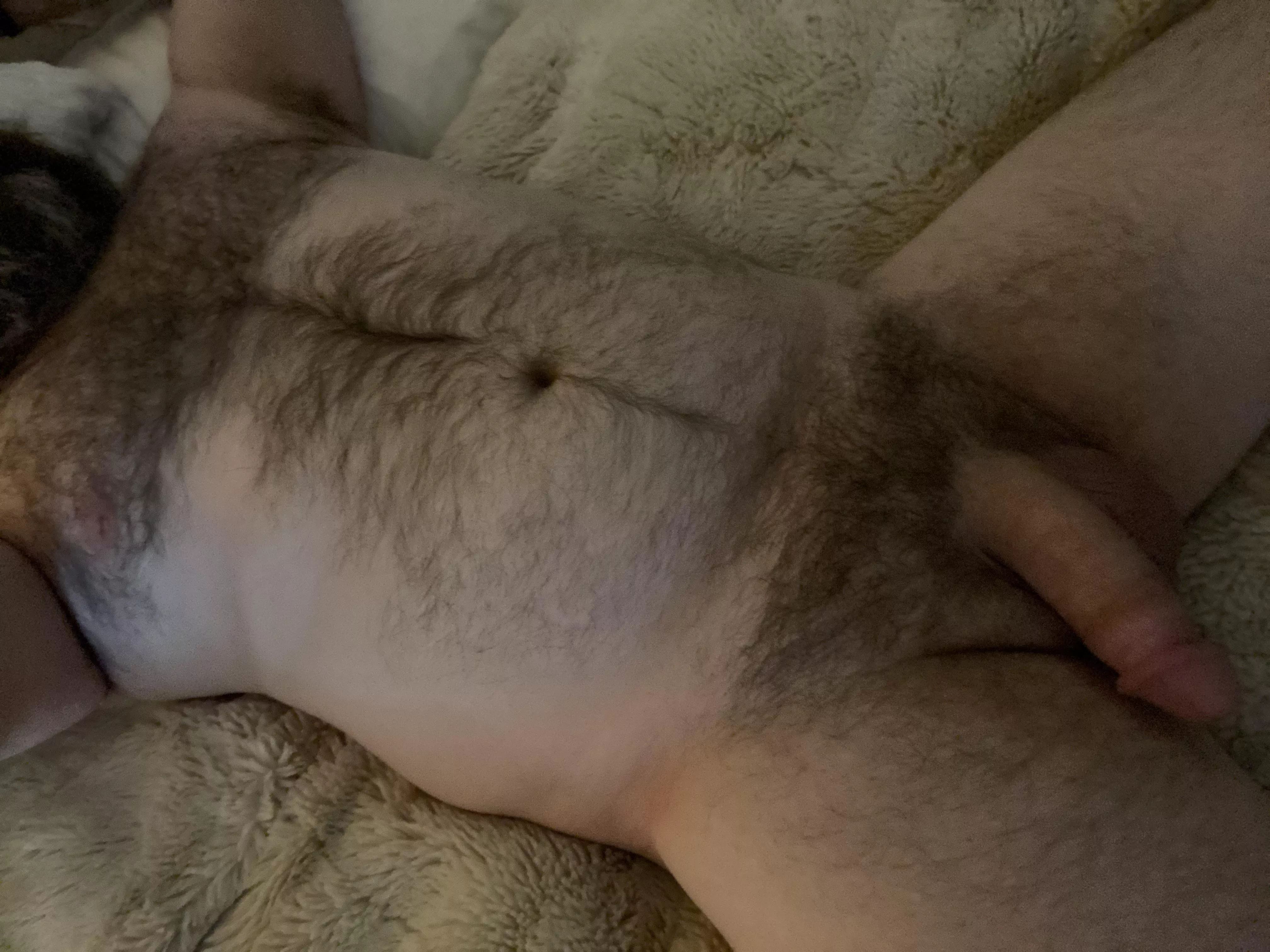 Lazy Sunday posted by shogunmarcus47