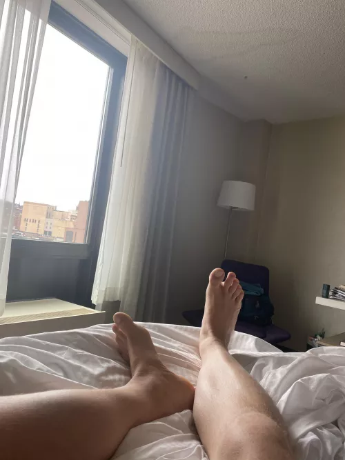 Lazy Sunday by jj_225511