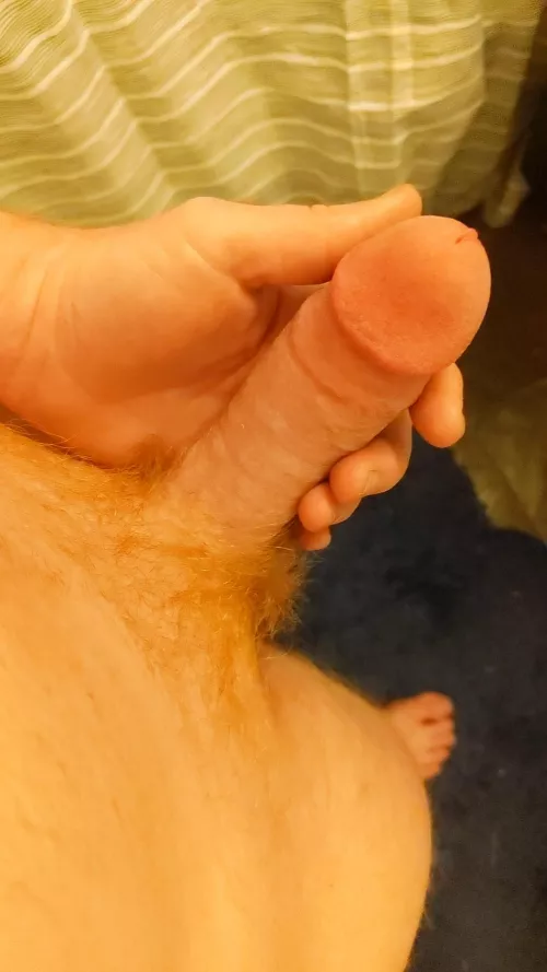 lazy sunday by ffumder-rM