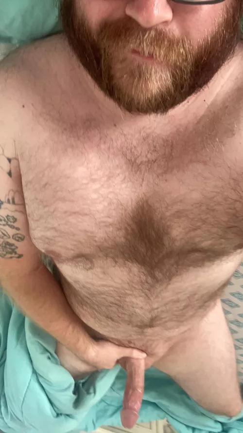 Lazy Sunday, wake up in the late afternoon by Slibberingdingle