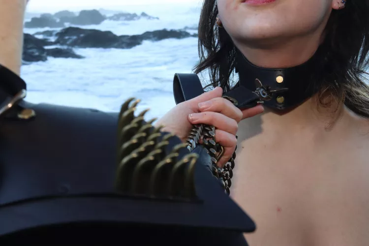 leading a collared pet 😇 by Sabersmyth