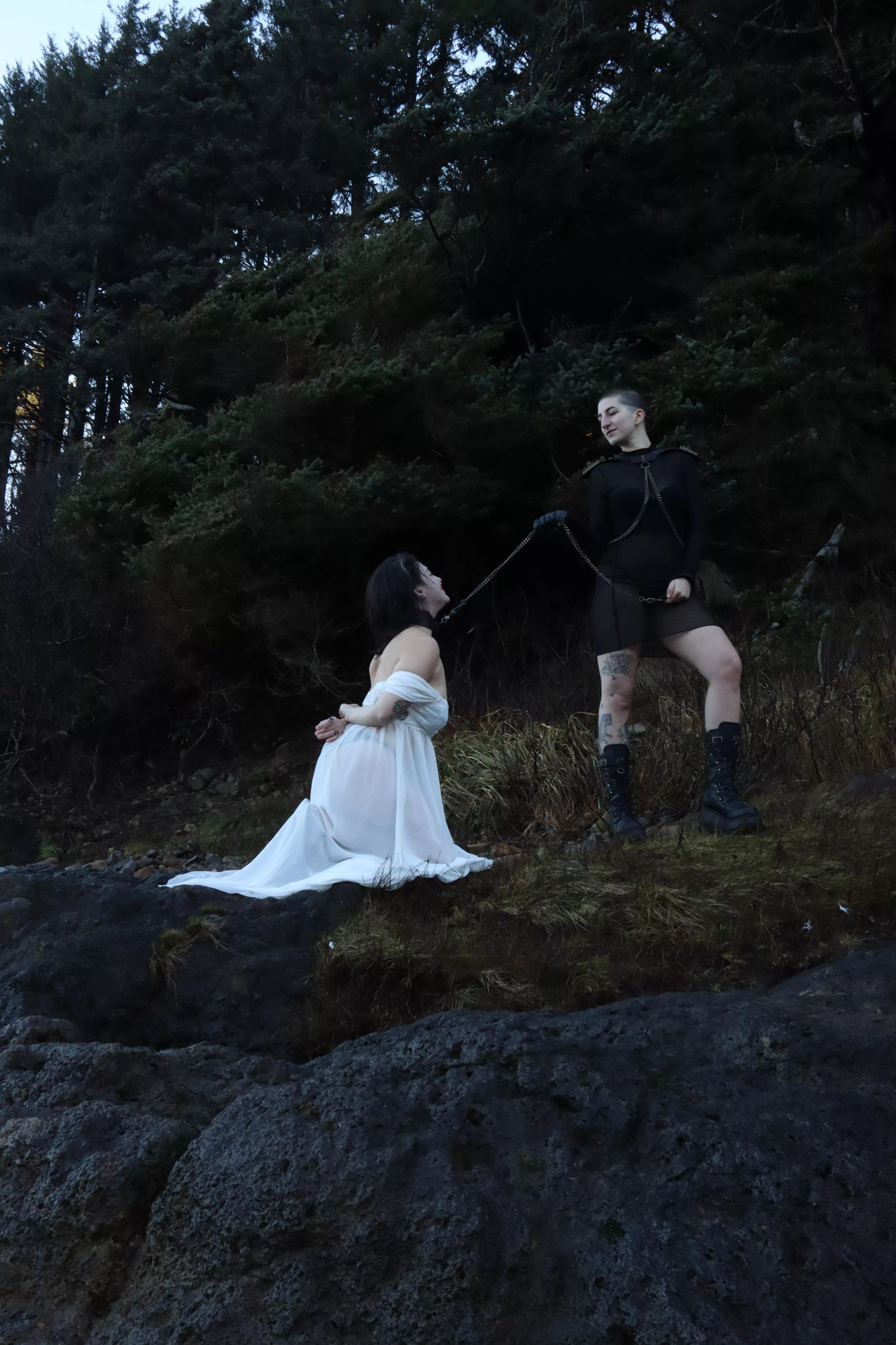 Leading a pet through the wilderness 🍃 posted by Sabersmyth