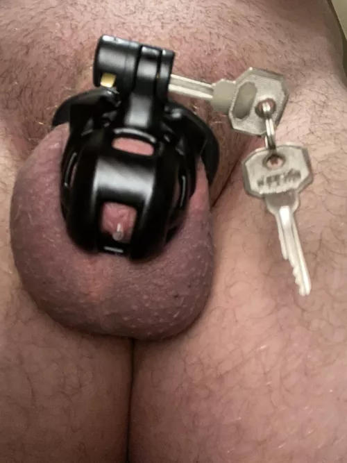 Leaking in my baby cobra by Beneficial_Bit483