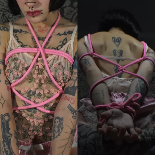 learning:3 by VennusSativa